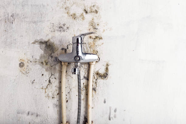 Best Water Damage Restoration  in Huachuca City, AZ