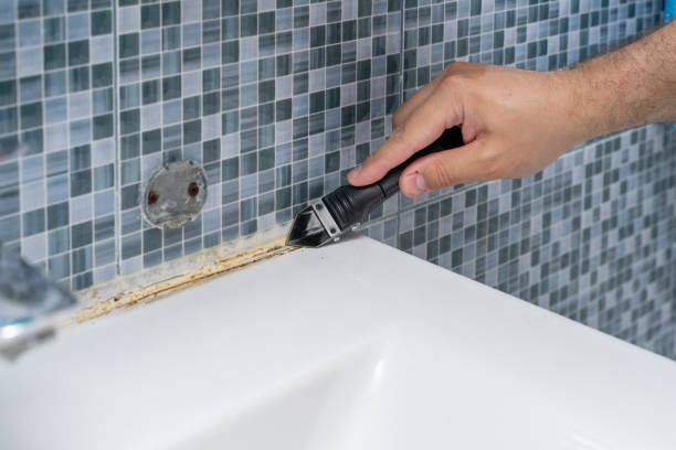 Best Mold Remediation  in Huachuca City, AZ