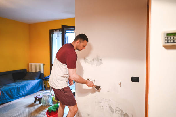 Best Crawl Space Mold Removal  in Huachuca City, AZ
